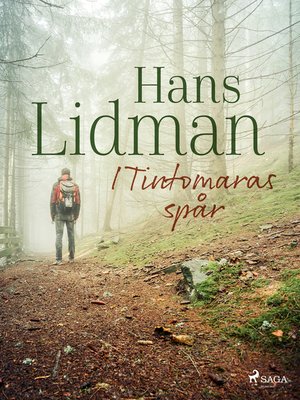 cover image of I Tintomaras spår